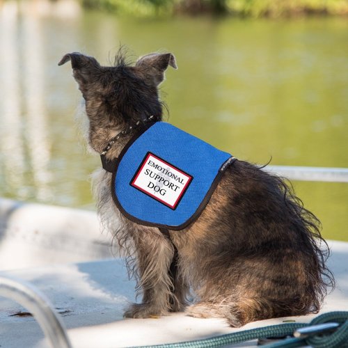 Emotional Support Dog Vest - Complete with Two Patches (7-11 Pounds, Raspberry) - Includes 5 Federal Law ESA Handout Cards