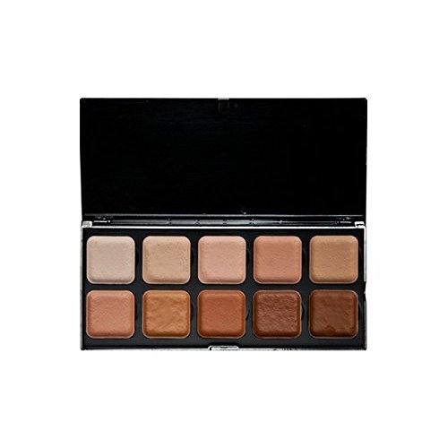 EBA Encore SKT Light to Dark Palette - Alcohol Activated! Professional Full Size Makeup Palette - Refillable Tabs