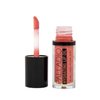 Palladio Hydrating Lip Oil Infused with Hyaluronic Acid, Non-Sticky Formula, Subtle shine with tinted sheer color, liquid lipstick, locks in moisture to prevent chapped lips 0.13 Oz. (FLY)