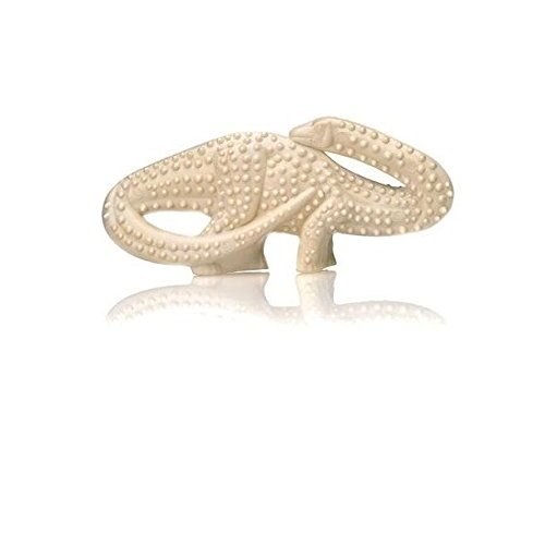 NB Durable Dental Dinosaur Textured Dog Chew Toy Stagosaurus Brontosaurus Set of 2 (One -Two Pack)