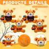 RoundFunny 20 Pcs Halloween Stuffed Animals Bears Bulk 4.5 Inch Mini Plush Bears with Halloween T-Shirt and Jack O Lantern Mini Bear Toys for Kids Halloween Party Favors Trick or Treat Supply