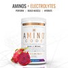 Ultra Human Amino Code | Essential Amino Acids + BCAAs + Coconut Water Electrolytes | Fast Hydration Workout Recovery Flavored Amino Energy Powder Drink | Clean Formula, 40 Servings - Dragonberry