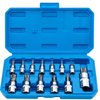 Torx Bit Socket Set 13pcs 3/8" Dr. T8 - T70 E Star Premium S2 Alloy Steel Cr-V Steel Star Socket Torx Bits Metric 1/4, 3/8 and 1/2-Inch Drive