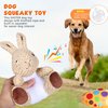 Wonfly Easter Dog Squeaker Toys (2 pcs), Rabbit & Eggs - 8.5in Plush Dog Toy with Squeaker, Cotton Material, Daily Entertainment & Relieve Anxiety, Chew Toy for Dogs, Not Water Resistant
