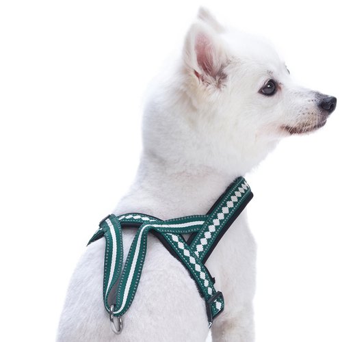 Blueberry Pet 6 Colors Soft & Comfy Jacquard Padded Dog Harness, Chest Girth 21.5" - 27.5", Teal Blue, S/M, Reflective Adjustable Harnesses for Dogs