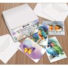 Better Office Products 50-Pack All Occasion Greeting Cards Box Set, 4 x 6 inch, 50 Assorted Blank Note Cards & 50 Envelopes, 6 Butterfly & Birds Designs, Blank Inside, 50 Pack