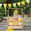 44 Ft Lemon Party Decorations Yellow Plaid Floral Lemon Banner Bunting Hanging Paper Triangle Garland Streamer for Wedding Bridal Shower Engagement Bachelorette Baby Shower Birthday Party Supplies