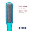 Kent AHGLO02 Airhedz Glo Blue Half Round Narrow Detangling Hair Brush - 9 Row Ionic Anti Static Non Scratch Long Nylon Bristle Great for Detangling and Smoothing Medium to Long Length Hair