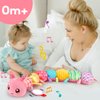 Baby Girls Toys 0-6 Months Tummy Time Musical Stuffed Animal Caterpillar Toy for Infant 0-3 3-6 Months Sensory Toy with Mirror Crinkle Rattle Newborn First Birthday Gifts for 3 4 5 6-12 Month Old Boys