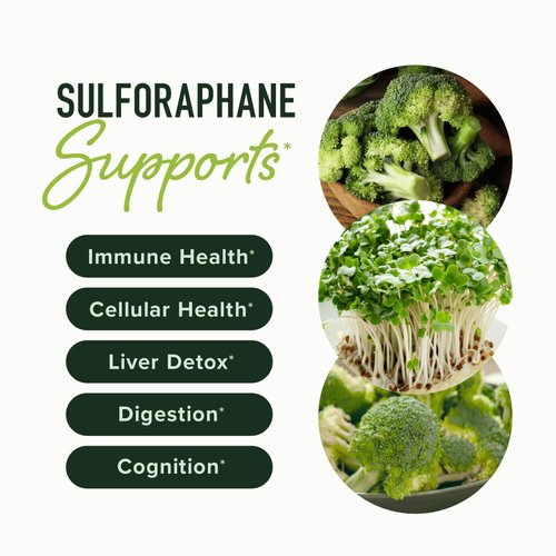20MG Sulforaphane | From Broccoli Sprouts & Seed Extract | 565MG Microbeadlet Complex | 26MG of Glucoraphanin + Myrosinase | Complete NRF2 Activator, Antioxidant & Cellular Health Supplement | 60 Ct.