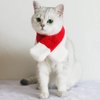 YUJUN 2PCS Cat Christmas Costume Christmas Pet Santa Hat with Scarf Outfit for Puppy Kitten Christmas Party Costume Supplies