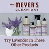 MRS. MEYER'S CLEAN DAY Foaming Hand Soap, Lavender Scent, 10 Fl oz (Pack of 1)
