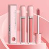 BINGBRUSH Super Stay Matte Longwear No-Budge Liquid Lipstick Makeup,Highly Pigmented Color and Instant Shine, Cheeky, Soft Matte Lip Cream Lightweight Lipgloss (03#&04#, Pack of 2)