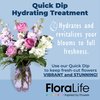 FloraLife Quick Dip Hydration Treatment for Cut Flowers & Bouquets - Floral Supplies for Fresh Flowers, Floral Arrangement Supplies (8oz)