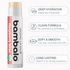 Bambalo USDA Organic Variety 4-Pack Lip Balm Set – Beeswax, Coconut Oil – Best Lip Repair for Dry, Cracked Lips – Moisturizing Lip Care