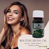 Watercress Oil El hawag Cold Pressed Pure Natural Raw Elhawag Egyptian Rucola Herbs Arugula Herb Rugula Herbal Non Gmo Kosher Halal (1 Pack =1 oz / 30 ml) زيت الجرجير الحواج