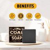 Pelto Lump Of Coal Activated Charcoal Soap - 2024 Stocking Stuffers for Men - White Elephant Gift Exchange in Unique Adult Christmas Gift Box Mon Dad Teens Him Her - 4 oz Bar