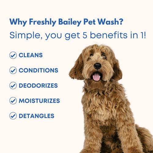 Freshly Bailey Dog Shampoo & Conditioner - 5-in-1 Pet Wash for Dogs & Cats - Cleans, Deodorizes, Conditions, Detangles, & Moisturizes - Natural Ingredients Perfect for Sensitive Skin - 16 FL Oz