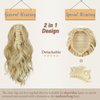 BARSDAR Claw Clip Ponytail Extension - 14 Inch Short Wavy Ponytail Hair Extensions for Women - Gray Ponytail Thick Soft Synthetic Clip in Pony Tails Hairpieces Daily Halloween - Black & Gray Mixed