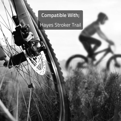 Clarks Hayes Trial Disc Brake Pad