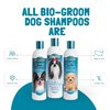 Bio-groom Wild Honeysuckle Dog Shampoo – Natural Scent Pet Shampoo, Aloe Vera, Chamomile, Cat & Dog Bathing Supplies, Puppy Wash, Cruelty-Free, Made in USA, Quick Rinse Cat Shampoo – 12 fl oz 1-Pack