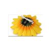 Patiky Sunflower Hair Clips for Women Girls Non Slip Alligator Clips Hairpin TS08 (2PCS New)