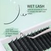 EMEDA Premade Fans Spike Wet Eyelash Extension Individual Cluster Lashes 0.07 C D Curl Wet Lash Spike Clusters DIY Lash Extensions Super Matte Wet Look Lashes (0.07 D Curl Mix 8-15mm)
