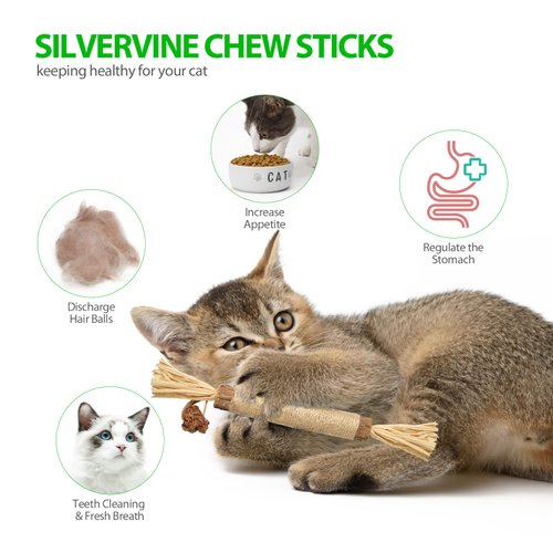 10 Park Silvervine Cat Toy, Silvervine Sticks for Cats, Cat Toy with Silvervine, Cat Chew Stick for Aggressive Chewers, Kitten Teething, and Dental Health - Silvervine Cat Toys for Hours of Fun