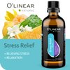 Stress Relief Essential Oil Therapeutic Grade 3.4 Oz Stress Away Blend Essential Oils, Aromatherapy Diffuser Pure Essential Oil Blend Anti Stress, Self Care Destress Gifts for Women Room Essentials