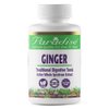 Paradise Herbs Ginger Extract for Digestive Health, Vegan, Non GMO, Gluten Free, 60 Vegetarian Capsules