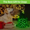 QDAN Glow in The Dark Dog Toys Soccer Ball with Straps, Outdoor Interactive Dog Toys Puppy Birthday Gifts, Dog Tug Water Toy, Light Up Dog Balls for Small & Medium Dogs（8 Inch）