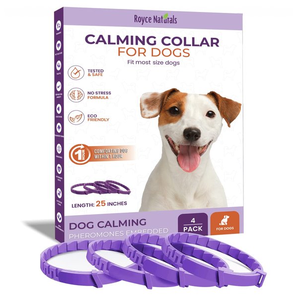 Royce Naturals 4 Pack Calming Collar for Dogs, Pheromone Breakaway Dog Collar, Separation Anxiety Relief for Dogs, Purple, (PETCOL01-3PP)