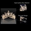 FASOTY Queen Crown Gold Tiaras and Crowns for Women Girls Crystal Princess Tiara Rhinestone Headband for Wedding Bridal Birthday Party Prom Halloween Christmas Costume Cosplay