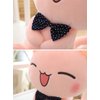 ECTY Cat Plush Cute Plushies, Pink Cat Plushie, Cat Stuffed Animals, Kawaii Plush Toys for Kids - 11 inch