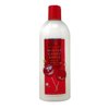 Bath & Body Works Winter Candy Apple Shampoo and Conditioner Bundle with a Natural Oats Bar Soap