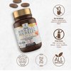 BEE and You Royal Jelly + Propolis + Bee Pollen Chewable Tablets - High Potency - No Artificial Flavor/Preservatives - No Added Sugar- No Soy/Milk/Gelatin/GMO/Gluten, 500 mg x 60 Tablets