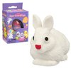 Easter Eggs - Super Sized Grow Eggs (Single Unit) - Watch Them Hatch Like Magic One of Six Different Pets!