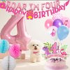 Roar Im 4 Dinosaur Party Decorations Girl,Pink Dino Four Roar Balloons, Roar I am Four Birthday Party Decorations,4th Birthday Decorations Girl.