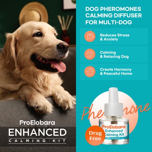 ProElobara Dog Calming Pheromone Diffuser Refills: Dog Calming Pheromones Diffuser Refills - Reduces Stress & Anxiety Calming Pheromone Diffuser Refill for Dogs - 3 Refills / 90 Day Supply
