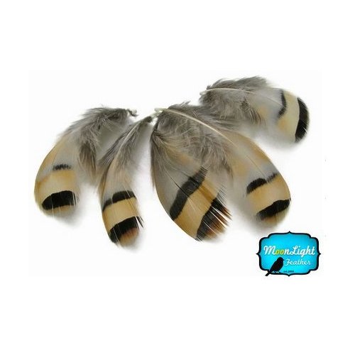 Partridge Feathes, Natural Feathers ; Chukar Partridge Hen Feather - 0.10 Ounce Pack