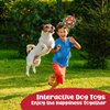 Angecado Interactive Dog Soccer Ball with Straps, Dog Birthday Balls Toy, Durable Christmas Dog Toys for Small & Medium Dogs, Outdoor Dog Toys, Dog Tug of War Toy (6 Inch)