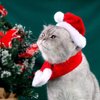 YUJUN 2PCS Cat Christmas Costume Christmas Pet Santa Hat with Scarf Outfit for Puppy Kitten Christmas Party Costume Supplies