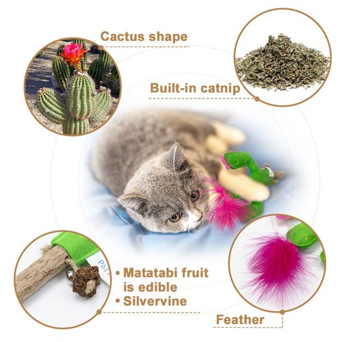 PAZ'S GIFT Cat chew Toy Catnip Organic cat bite Toy Indoor Interactive cat Kick Stick for Cats Silvervine with Feather cat Stick Cute Plush Cactus
