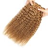 FEELME Honey Blonde Brazilian Hair Kinky Curly Bundles Color 27 Curly Human Hair Bundles Unprocessed Virgin Brazilian Curly Hair Bundles 100% Human Hair Extensions 3 Bundles 10 12 14