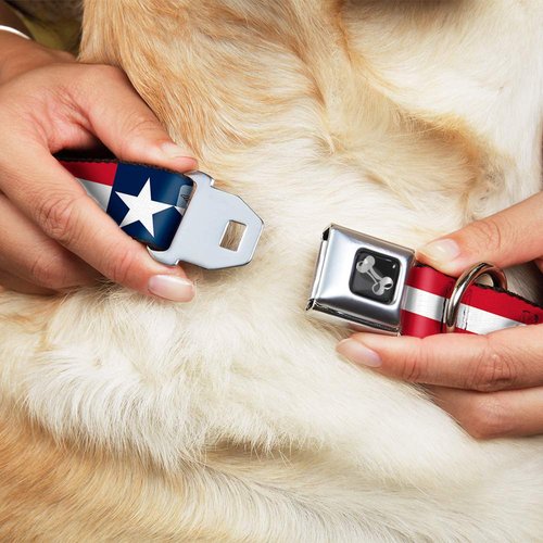 Dog Collar Seatbelt Buckle Stars Stripes Blue White Red White 9 to 15 Inches 1.0 Inch Wide