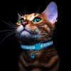 Bosose 2 Pack Cat Collar with Bells, Reflective Collars for Cats with Breakaway Safety Buckle, Nylon, 7-12 Inch Adjustable, Blue
