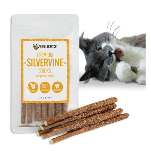 Hide & Scratch Premium Silvervine Sticks for Cats with High-Potency Gall Fruit Powder - All-Natural Chew Toy and Dental Sticks for Indoor Cats; More Effective Than Catnip Treats! (12 ct)