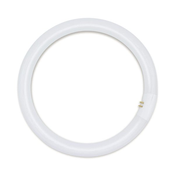 Technical Precision 12 Inch Round Tube Light Bulb Replacement for Light Bulb/Lamp FC12T9 / Cool White FC12T9 32W Light Bulb with G10Q-4 4 Pin Base - 4100K Circline Fluorescent Bulb - 1 Pack