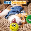 HOLYSTEED Squeaky Dog Toys for Small Dogs-Medium Dog Toys, Stuffed Plush Squeaky Dog Balls, Smile Face Dog Squeaky Toys for Small, Medium Breed