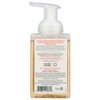 South of France Foaming Hand Wash Orange Blossom Honey -- 8 fl oz - 2PC